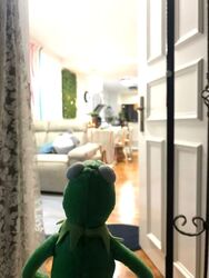 Blk 10 Farrer Park Gardens (Kallang/Whampoa), HDB 3 Rooms #588922331
